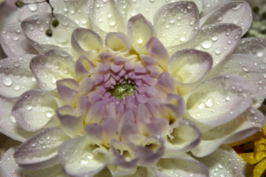 Similar image 2919983