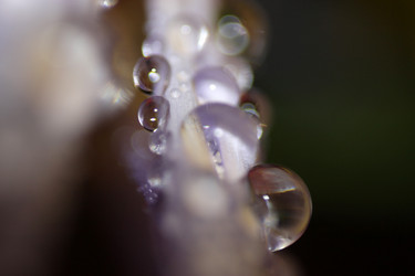 Similar image 2919990