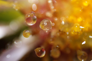 Similar image 2919991