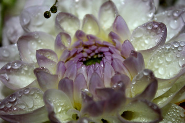 Similar image 2919992