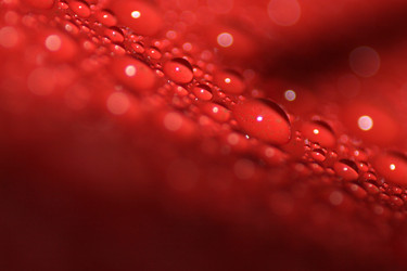 Similar image 2919994