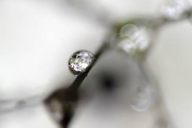 Similar image 2919996