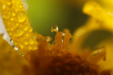 Similar image 2919997