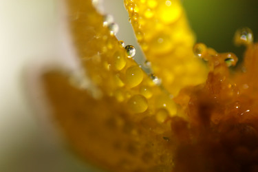 Similar image 2919998