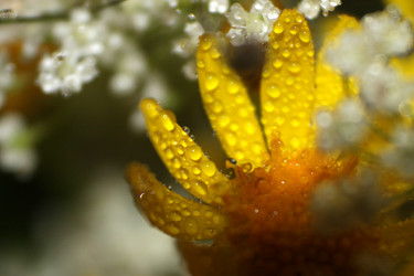 Similar image 2920000