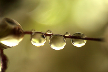 Similar image 2920001