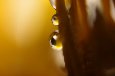 Similar image 2920002