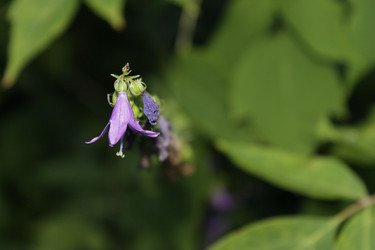 Similar image 2920003