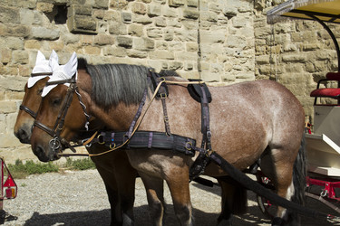 Similar image 2920079