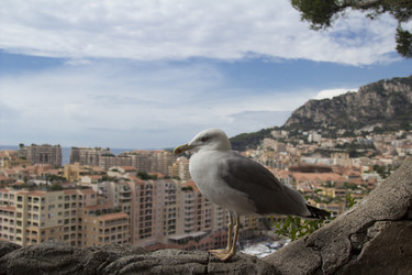 Similar image 2920100