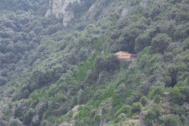 Similar image 2920124