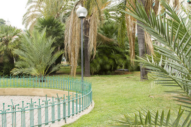 Similar image 2920125