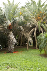 Similar image 2920127