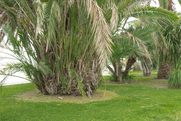 Similar image 2920146