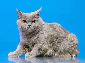 Similar image 2920231