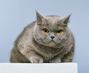 Similar image 2920233