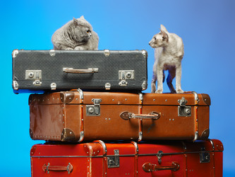 Similar image 2920235