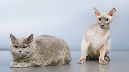 Similar image 2920237