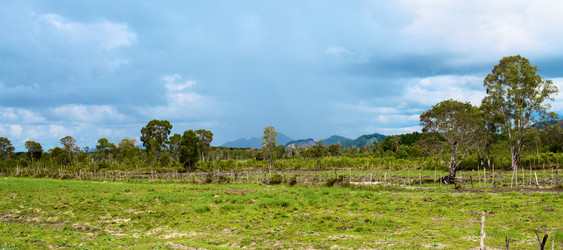 Similar image 2920271