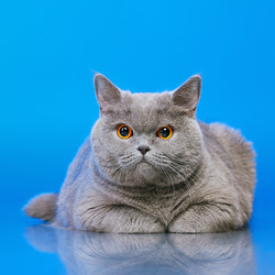 Similar image 2920290