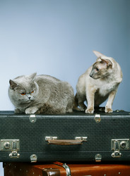 Similar image 2920291