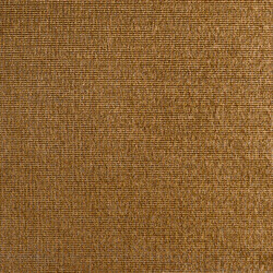 Similar image 2920335