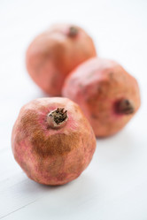 Similar image 2920354