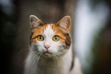 Similar image 2920380