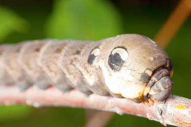 Similar image 2920581