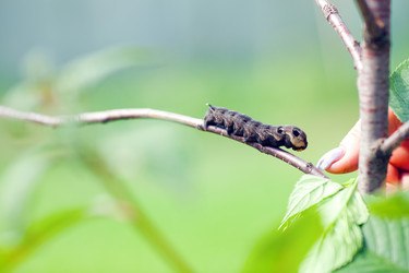 Similar image 2920584