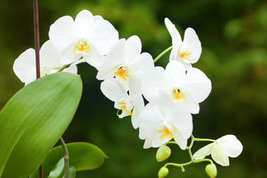 Similar image 2920591