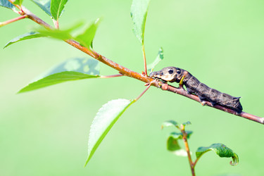 Similar image 2920593