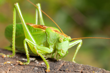 Similar image 2920598