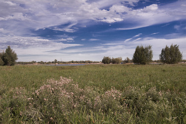 Similar image 2920619