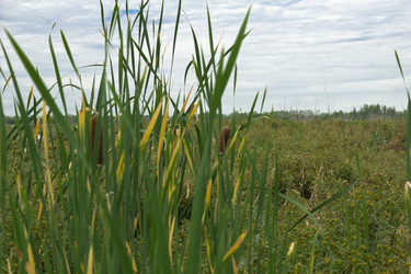 Similar image 2920621