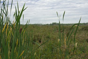 Similar image 2920624