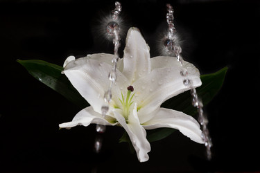 Similar image 2920643