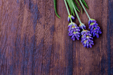 Similar image 2920685