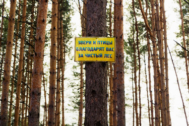 Similar image 2920696