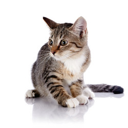 Similar image 2920699