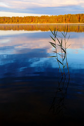 Similar image 2920703