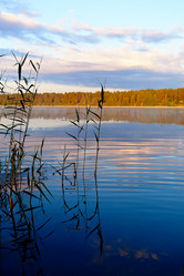 Similar image 2920705