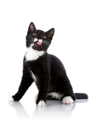 Similar image 2920707