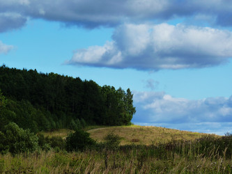 Similar image 2920783