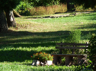 Similar image 2920787