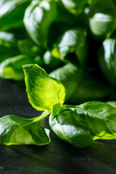 Similar image 2921114