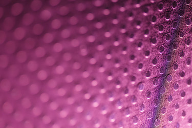 Similar image 2921194