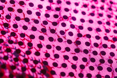 Similar image 2921199