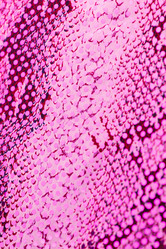 Similar image 2921200