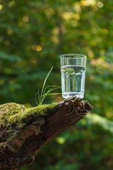 Similar image 2921221